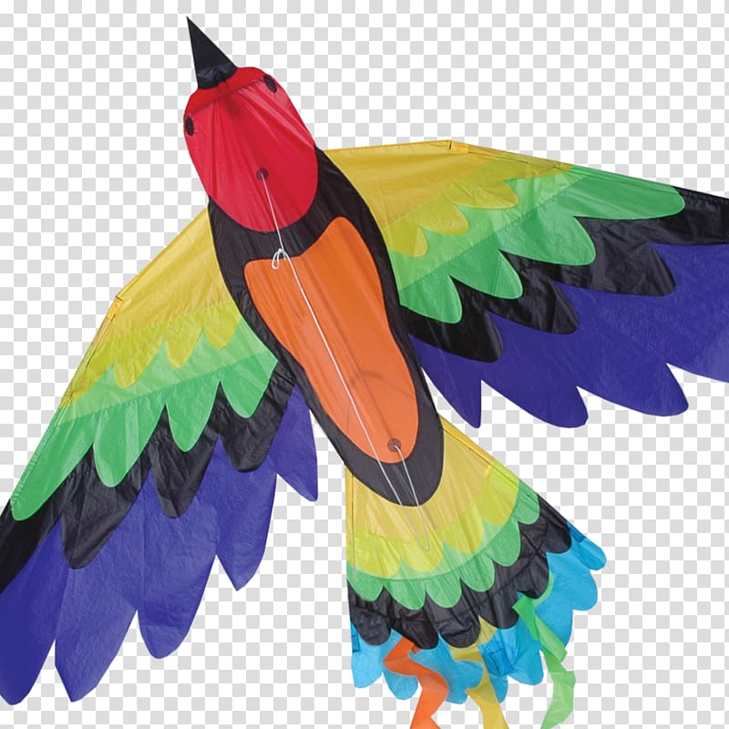 Bird Sport kite Flying Orange Game, kite transparent background PNG clipart