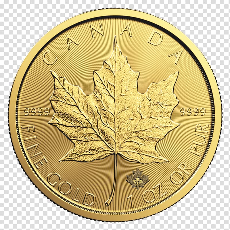 Canadian Gold Maple Leaf Canadian Silver Maple Leaf Bullion coin Gold coin, gold transparent background PNG clipart