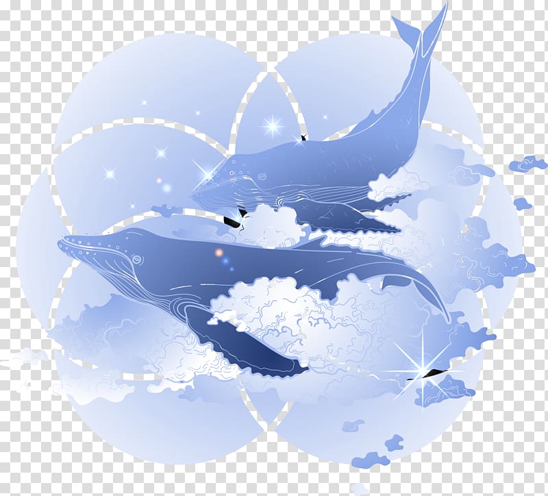 Humpback whale Blue whale, Blue-purple whale transparent background PNG clipart