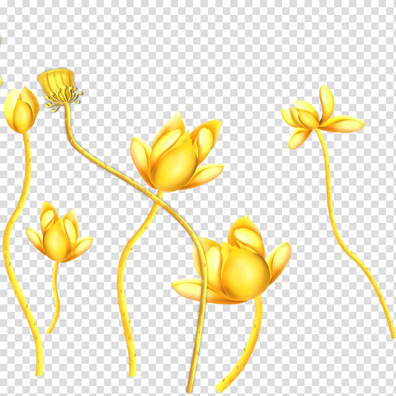 Three-dimensional space painting Art 3D film Floral design, Lotus transparent background PNG clipart