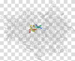 Line, design transparent background PNG clipart thumbnail