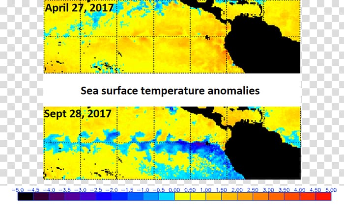 Pacific Ocean La Niña Sea surface temperature El Niño, sea surface transparent background PNG clipart