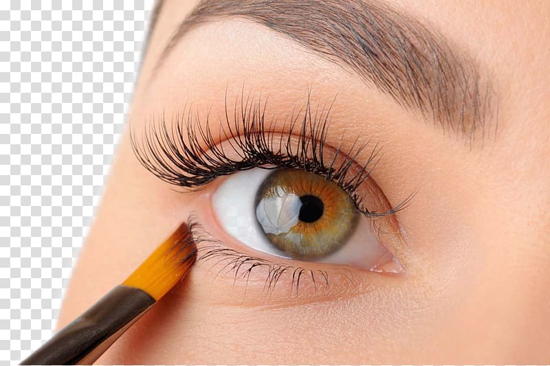 close up of eye, Eyebrow Cosmetics Beauty Eyelash, Eye Closeup transparent background PNG clipart