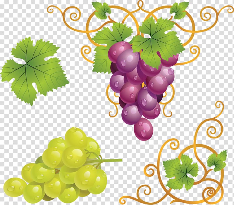 Red Wine Grape , Grapes transparent background PNG clipart