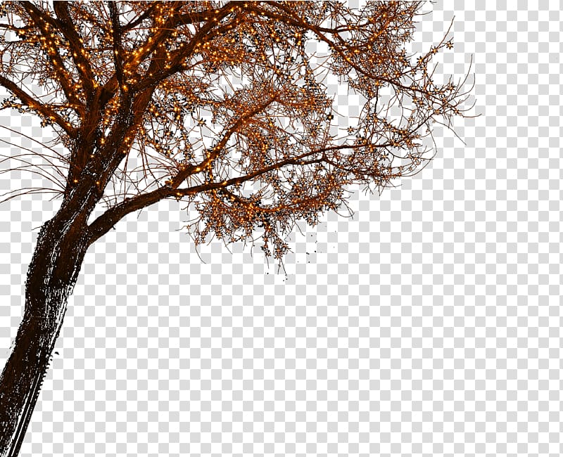 brown tree illustration, Light Nightscape, Night lights transparent background PNG clipart