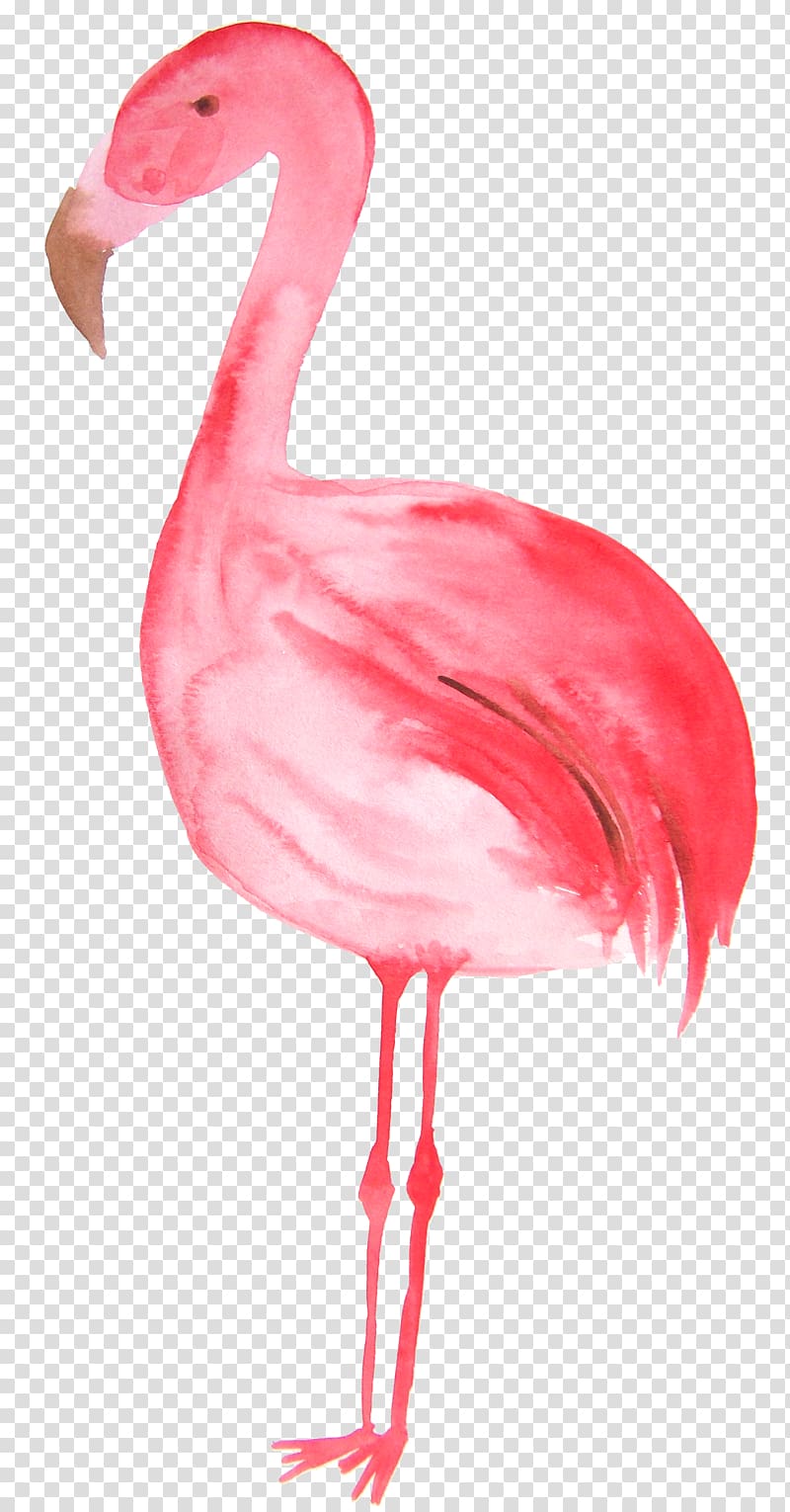 Flamingos Bird Illustration, Red hand painted flamingo transparent background PNG clipart