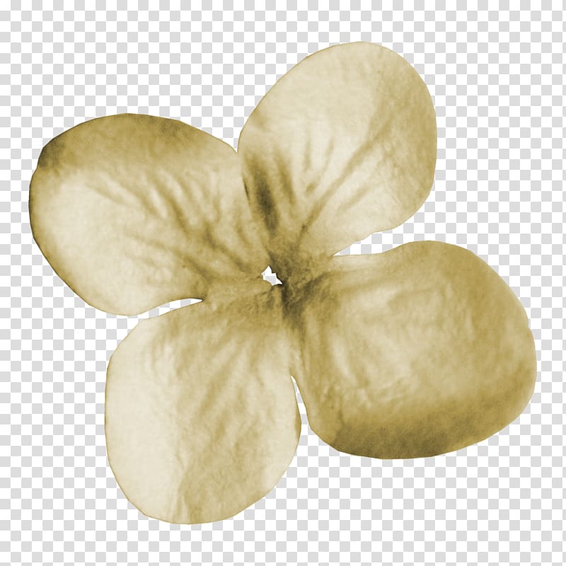 White Clover Four-leaf clover, white,Clover transparent background PNG clipart