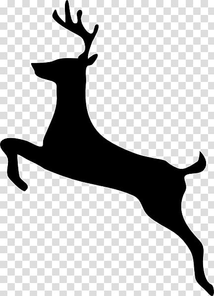 White-tailed deer Deer hunting , animal silhouettes transparent background PNG clipart