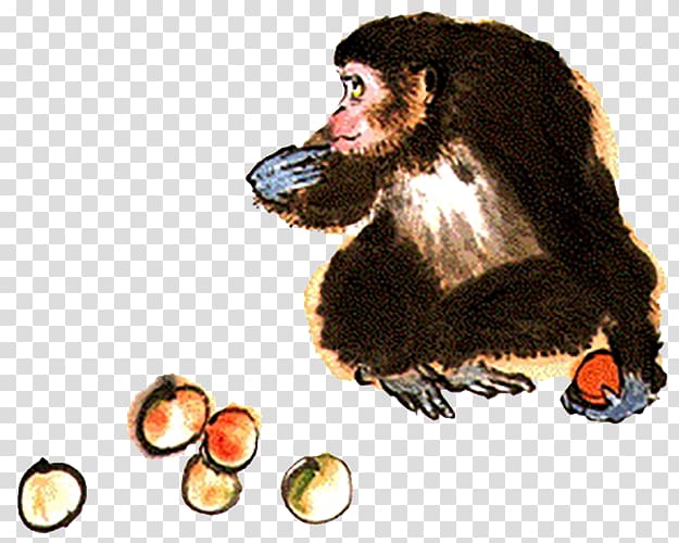 Monkey Finger Hand, Monkey eating fruit transparent background PNG clipart