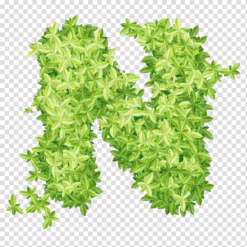 Leaf xd1, Green leaf N word transparent background PNG clipart