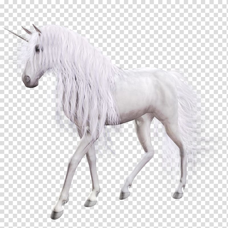 white unicorn, Young Woman with Unicorn Icon Scalable Graphics, Unicorn transparent background PNG clipart