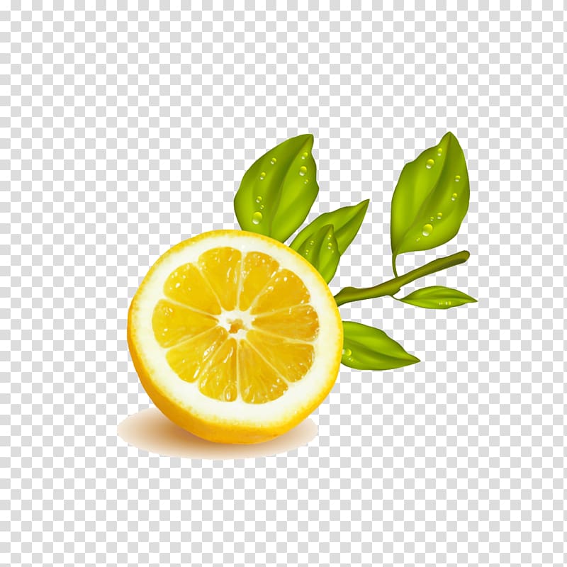 Lemon Lime Fruit Illustration, Cut lemon yellow transparent background PNG clipart