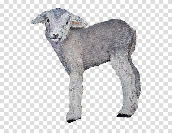 Sheep Goat Cattle Fur Snout, baby lamb transparent background PNG clipart