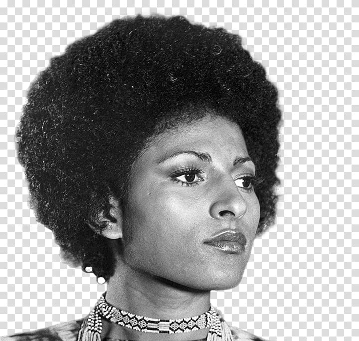 Pam Grier Afro Greased Lightning Hairstyle, hair transparent background PNG clipart
