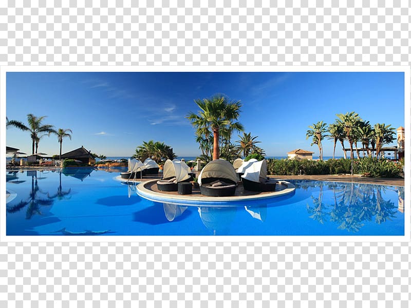 Marriott's Marbella Beach Resort Marriott International Seaside resort, desert palms transparent background PNG clipart