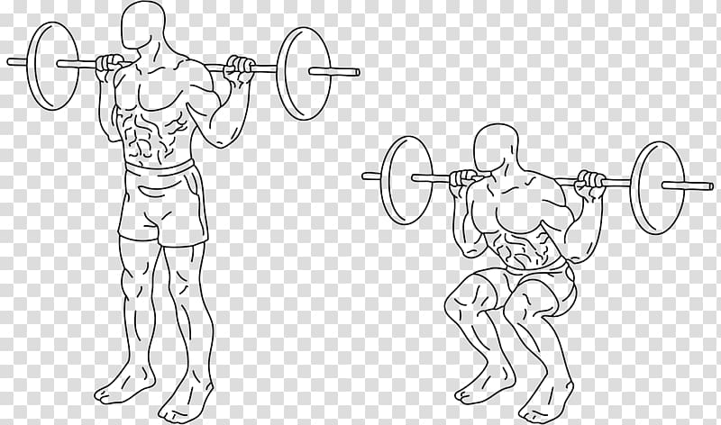 Squat Exercise Human back Weight training Barbell, barbell transparent background PNG clipart