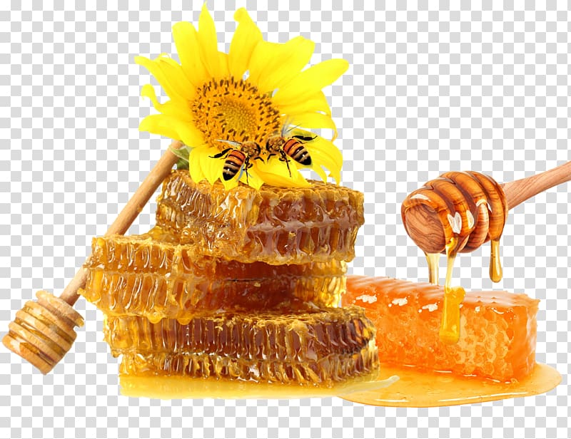 honey and dipper, Honey bee Honeycomb, Golden honey honeycomb material to pull Free transparent background PNG clipart