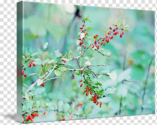 Canvas print Printing Art Acrylic paint, Watercolor berries transparent background PNG clipart