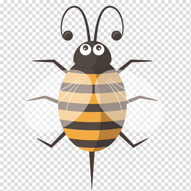 Bee Euclidean , Cute cartoon bee transparent background PNG clipart