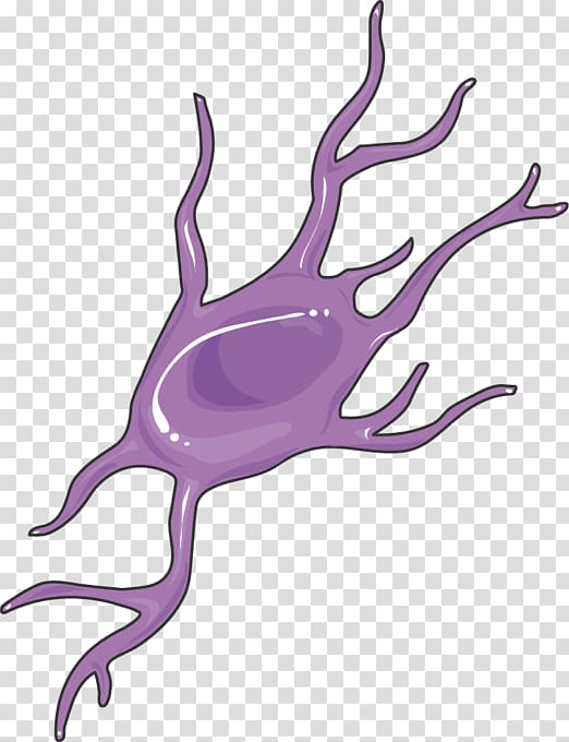 Servier Medical Nervous system Medicine, microglia transparent background PNG clipart