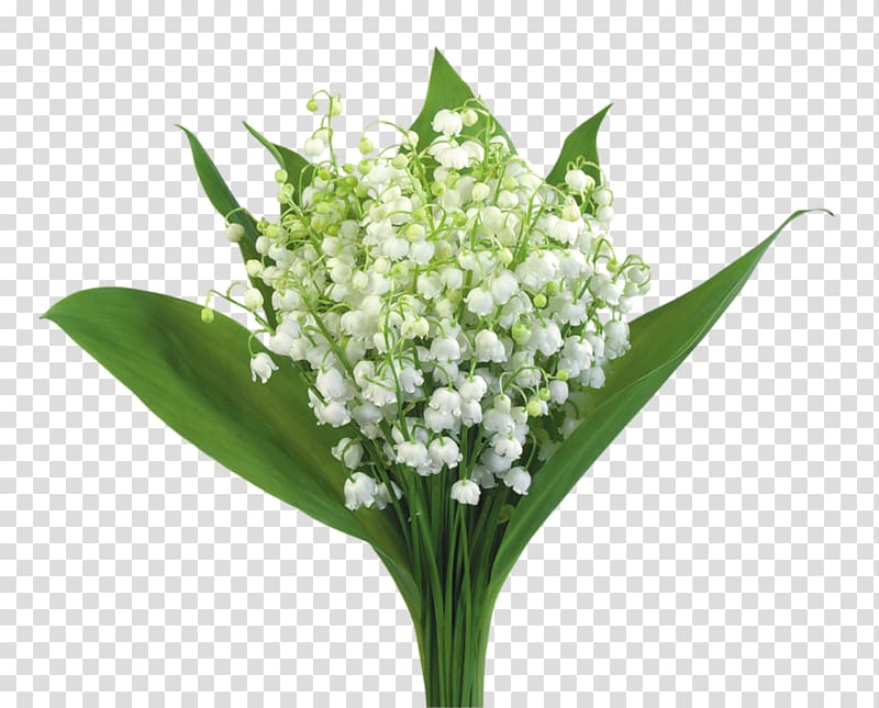 Flower bouquet Birthday Lily of the valley Gift, flower transparent background PNG clipart