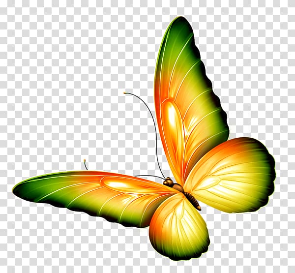 The Very Stubborn Butterfly by Chinyere Nwakanma Insect Monarch butterfly The Beautiful Garden Poems by Chinyere Nwakanma, yellow view by category transparent background PNG clipart