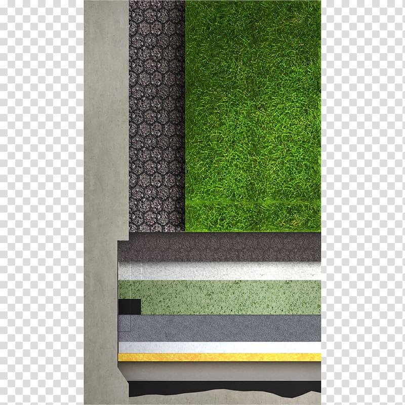 Green roof Building information modeling Water Green wall, water transparent background PNG clipart