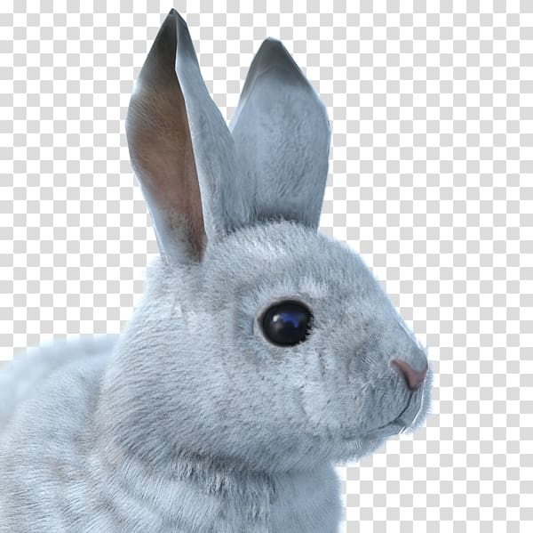 The Hunter Snowshoe hare Arctic hare Arctic fox European rabbit, arctic fox transparent background PNG clipart