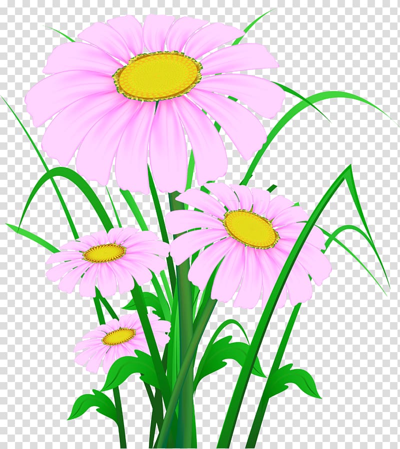 pink flowers illustration, Flower , Pink Daisies transparent background PNG clipart