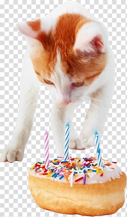 cat birthday cake transparent background PNG clipart