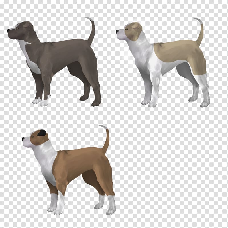 Dog breed Italian Greyhound Crossbreed, American Staffordshire Terrier transparent background PNG clipart