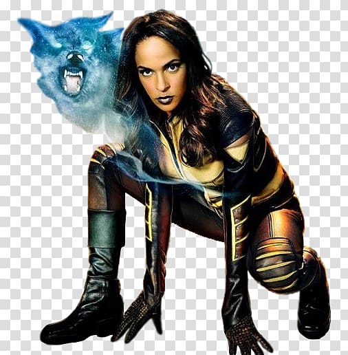 Megalyn Echikunwoke Vixen The CW DC Comics Arrowverse, hawkgirl transparent background PNG clipart