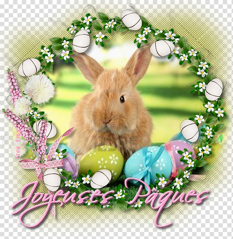 Easter Bunny Domestic rabbit Party Passover, Easter transparent background PNG clipart