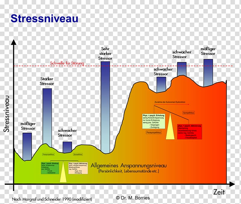Eustress Stressmodell von Lazarus Stressreaktion Sympathetic nervous system, Funny Stress Level transparent background PNG clipart