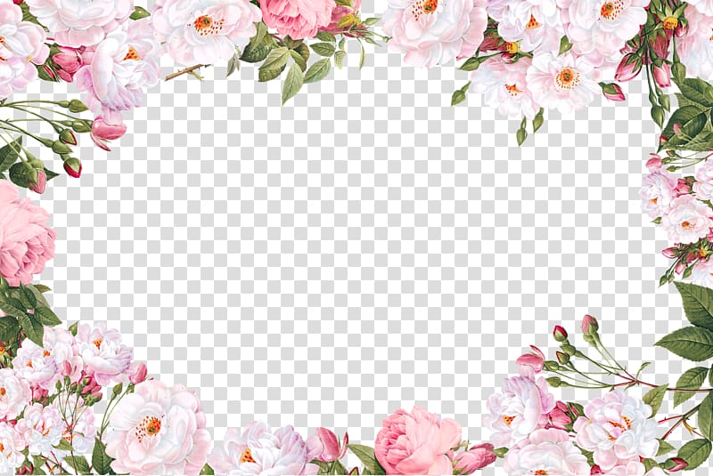 Script typeface Sans-serif Calligraphy Font, Flower Border, white petaled flowers frame illustration transparent background PNG clipart