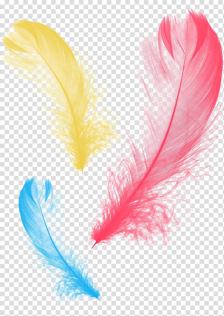 Feather Graphic design, feather transparent background PNG clipart