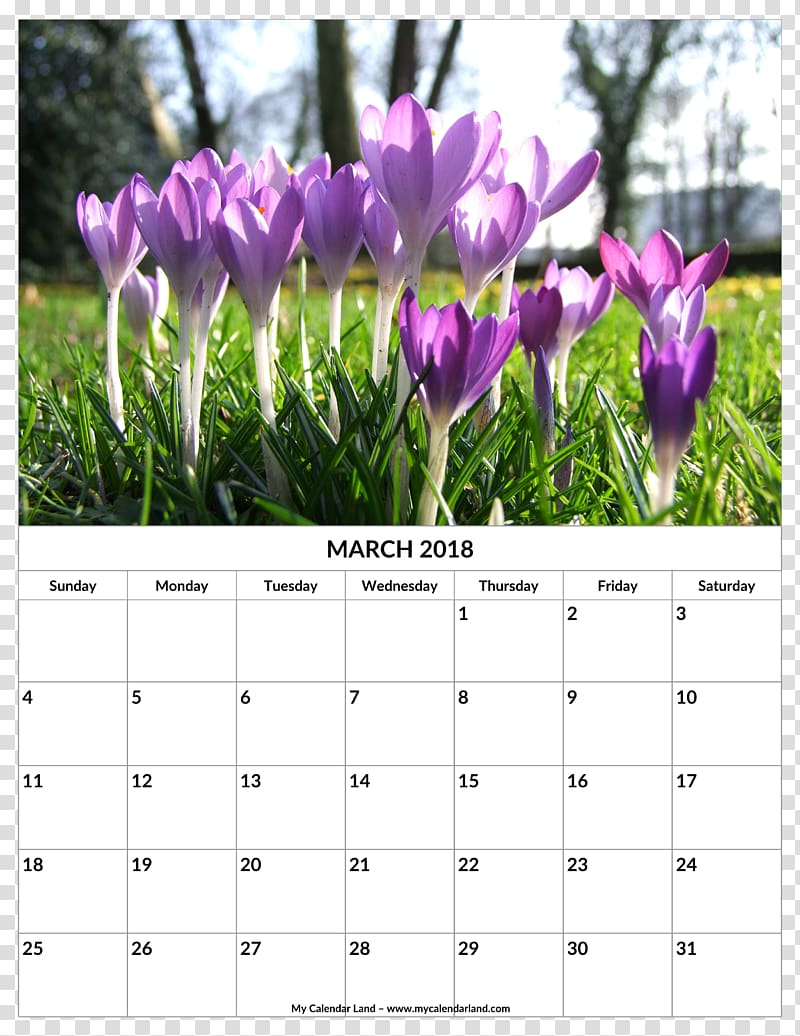 Calendar Spring 0 1 Gardening, 2018 monthly calendar transparent background PNG clipart