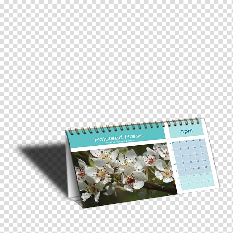 Direct marketing Calendar Customer Company, fashion desk calendar transparent background PNG clipart