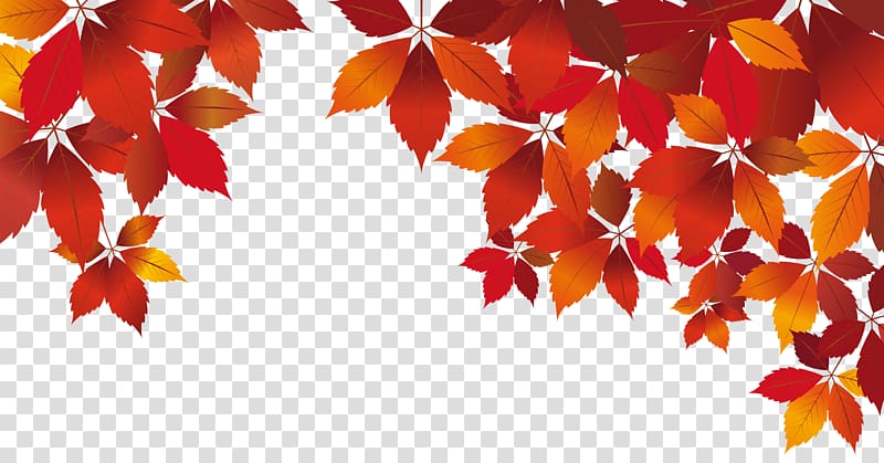 red leaves illustration, Red Autumn White, Fall Decoration transparent background PNG clipart