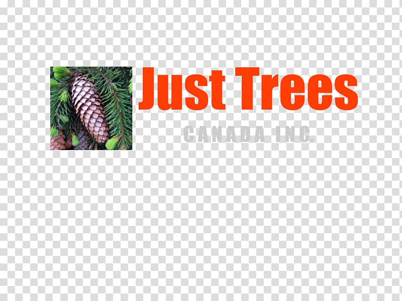 Logo Brand Font Product Just Trees Canada Inc., calling 911 decision tree transparent background PNG clipart