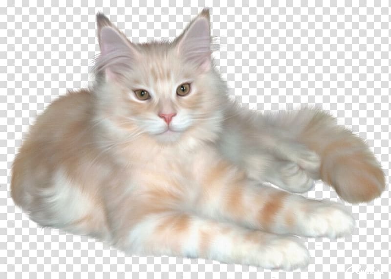 Persian cat Kitten Ragdoll Cymric cat , kitten transparent background PNG clipart