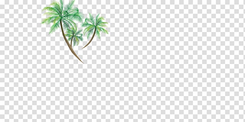Green Leaf Area Pattern, Coconut tree material transparent background PNG clipart