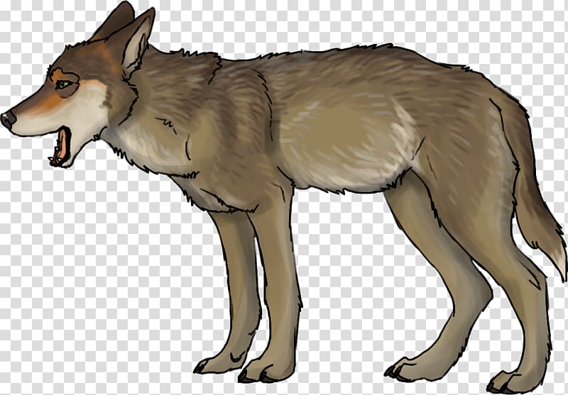 Saarloos wolfdog Czechoslovakian Wolfdog Coyote Red wolf, others transparent background PNG clipart