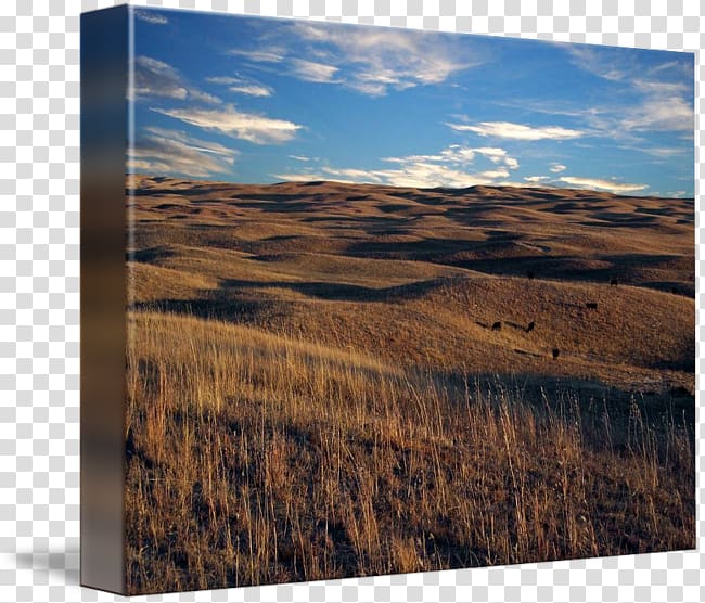Sandhills Nebraska Prairie Gallery wrap Ecoregion, rolling hills transparent background PNG clipart