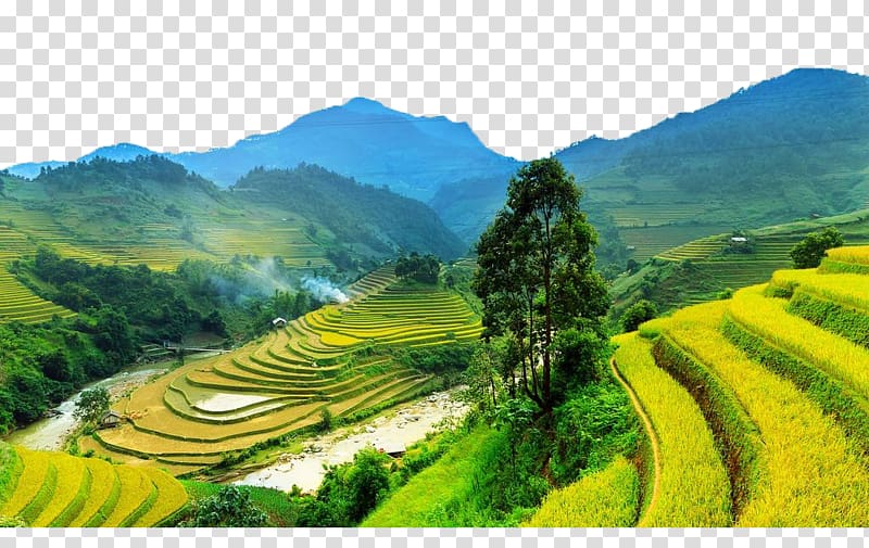 Sa Pa Mxf9 Cang Chu1ea3i District Jigsaw puzzle Terrace Field, Mountain terraces transparent background PNG clipart