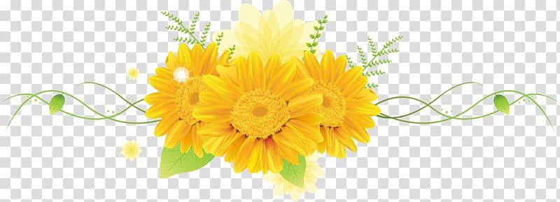 Cut flowers Petal Desktop , gerbera transparent background PNG clipart