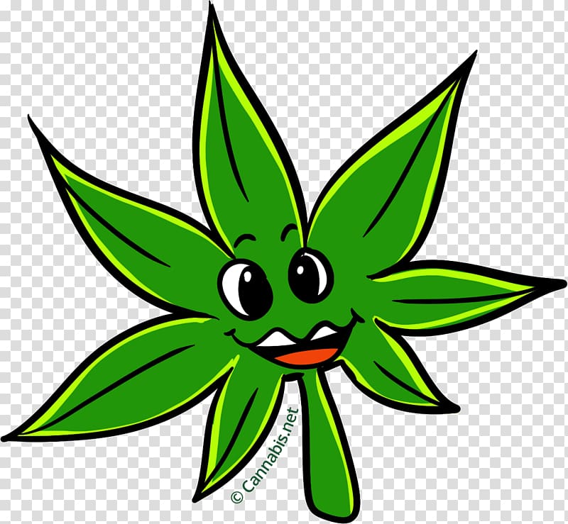 Kush Leaf Cannabis Tetrahydrocannabinol , Leaf transparent background PNG clipart