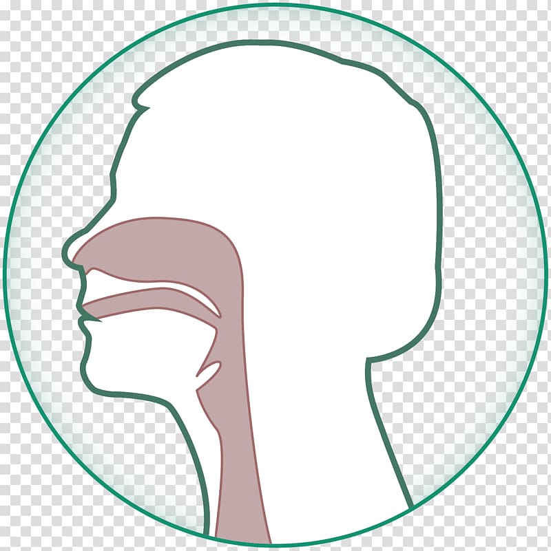 Eye Cheek Jaw Tooth , Eye transparent background PNG clipart