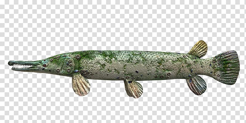 Northern pike Alligator gar Fishing Angling, Fishing transparent background PNG clipart