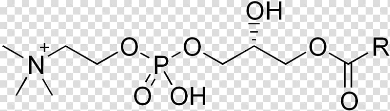 Chemical structure Chemical substance Chemical compound Organic chemistry, others transparent background PNG clipart